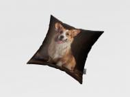 Подушка декоративная Оливер 45x45 см с принтом La Nuit