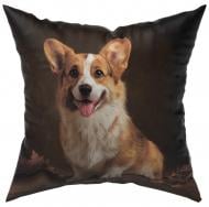 Подушка декоративная Оливер 45x45 см с принтом La Nuit