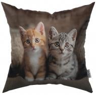 Подушка декоративная Марсель и миа 45x45 см с принтом La Nuit