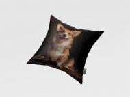 Подушка декоративная Майло 45x45 см с принтом La Nuit