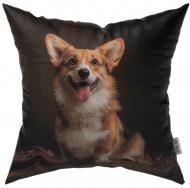 Подушка декоративная Майло 45x45 см с принтом La Nuit