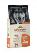 Корм сухий для крупних порід/для великих порід Almo Nature Holistic Dog L з ягням 12 кг