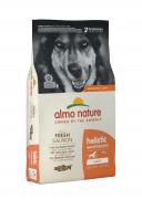 Корм сухой для крупных пород/для больших пород Almo Nature Holistic Dog L с лососем 12 кг