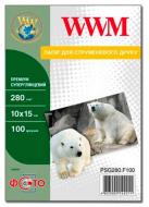 Папір WWM 10x15 Premium (PSG280.F100)