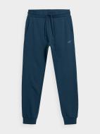 Брюки 4F TROUSERS CAS M289 4FAW22TTROM289-33S р. 3XL зеленый