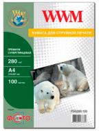 Бумага WWM A4 Premium (PSG280.100)