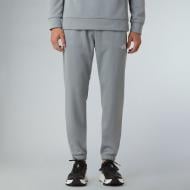 Брюки THE NORTH FACE M REAXION 2.0 JOGGER NF0A8DRSPUW1 р. S серый