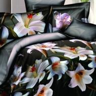 Комплект постельного белья 2.0 Н1095 разноцветный Word of Dream