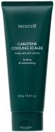 Скраб для кожи головы охлаждающий с каротином Treecell Carotene Cooling Scaler 250 г Скраб для кожи головы охлаждающий с каротином Treecell Carotene Cooling Scaler 250 г