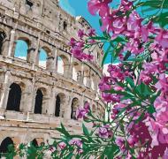 Картина по номерам Колизей Идейка