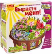 Увлекательная ботаника Ранок Вырасти меня! Сад бабочек и фей 0394/15114004Р