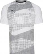 Футболка Puma ftblNXT Graphic Shirt Core 65578101 XL серый