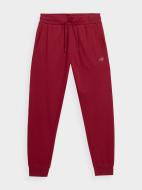 Брюки 4F TROUSERS CAS M289 4FAW22TTROM289-61S р. XXL красный