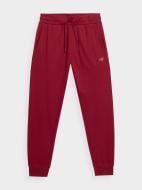 Штани 4F TROUSERS CAS M289 4FAW22TTROM289-61S р. L червоний