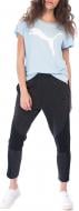 Штани Puma EVOSTRIPE Pants 85190601 р. L чорний Штани Puma EVOSTRIPE Pants 85190601 р. L чорний