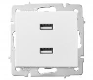 Механізм розетки USB Lezard Rain білий 703-0288-192