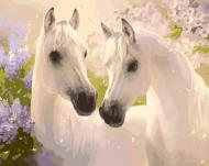 Картина за номерами Пара коней Ідейка 