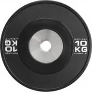 Диск для грифа Werksan DCUS084 Lionfit Custom 10 кг Диск для грифа Werksan DCUS084 Lionfit Custom 10 кг
