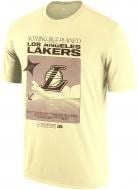 Футболка Nike NBA LOS ANGELES LAKERS FJ0647-744 р.3XL жовтий