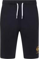 Шорты Champion 307551-KK001 р. L синий