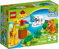Конструктор LEGO DUPLO Детеныши животных 10801
