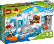 Конструктор LEGO DUPLO Арктика 10803