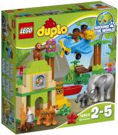 Конструктор LEGO DUPLO Джунглі 10804