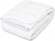 Одеяло Антиаллергенная 200x220 см Zastelli белый