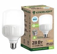 Лампа світлодіодна Enerlight 28 Вт T100 матова E27 220 В 6500 К HPLE2728SMDС