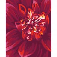 Картина за номерами Яскрава жоржина Ідейка