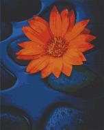 Картина за номерами Квітка лотоса 13124-АС 40х50 см ART CRAFT