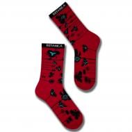 Носки женские Premier Socks Премиум EXCLUSIVE Botanica р.23-25 разноцветный