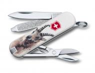 Нож Victorinox Classic 0.6223.L1610 Нож Victorinox Classic 0.6223.L1610