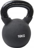 Гиря Endurance E92007-B3-1001 16 кг черный