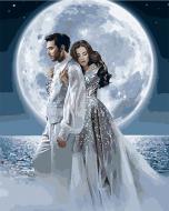 Картина по номерам В лунном свете Идейка