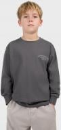 Свитшот 4F LONGSLEEVE M535 4FJWSS26TLONM535-22S р.134 серый