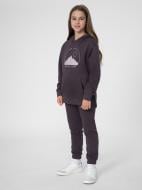 Брюки 4F 4FJSS23TTROF334-50S р. 122 фиолетовый