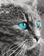 Картина по номерам Небесный взгляд Идейка