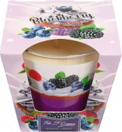 Свеча в стакане Pako-If Tindra черника (3101)