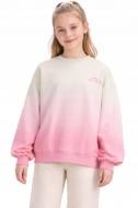 Джемпер 4F SWEATSHIRT F2272 4FJWSS26TSWSF2272-91A р.140 разноцветный