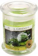 Свеча ароматическая Pako-If Зеленый чай 10х7,6 см (А-197)