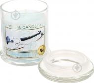 Свеча ароматическая Pako-If в стекле 10 x 7.6 см Прикосновение Ангела (А-197 М)