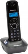 Телефон Panasonic KX-TG1611UAH Black Grey