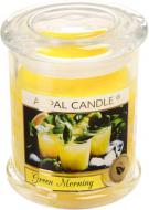 Свеча ароматическая Pako-If Зеленое утро 12,2х9 см (А-197)