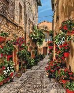 Картина по номерам Цветущая улочка Идейка