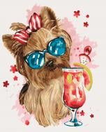 Картина за номерами Cool party Ідейка