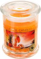 Свеча ароматическая Pako-If Экзотический вкус 12,2х9 см (А-197)