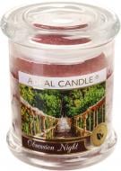 Свеча ароматическая Pako-If Одержимая ночь 12,2х9 см (А-197)