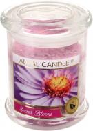 Свеча ароматическая Pako-If Тайный цвет 12,2х9 см (А-197)