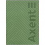 Книга для записей Axent А4- 203x273 мм 96 лист. клетка Pattern зеленая Книга для записей Axent А4- 203x273 мм 96 лист. клетка Pattern зеленая